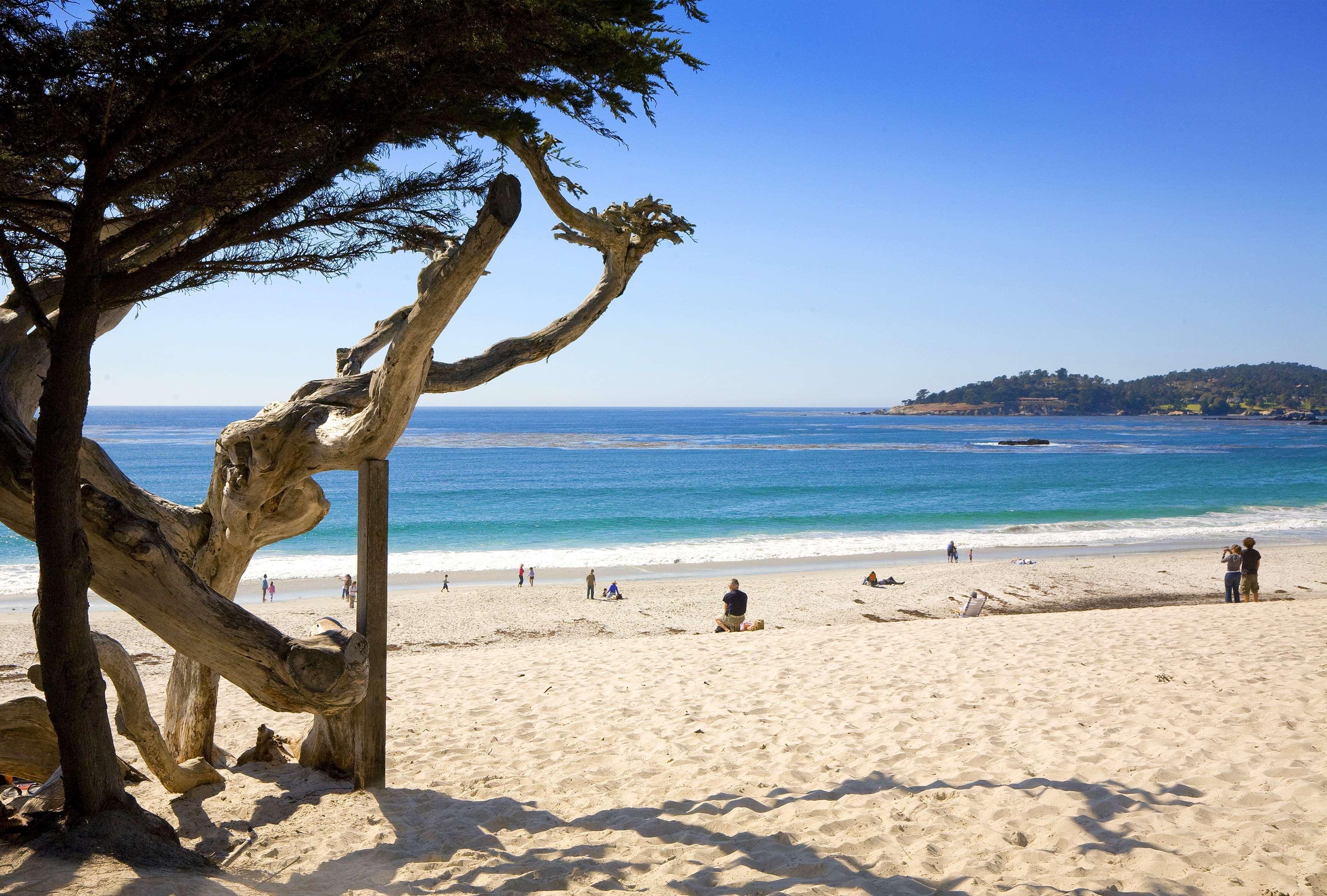 Hyatt Carmel Highlands Hotel Tiện nghi bức ảnh